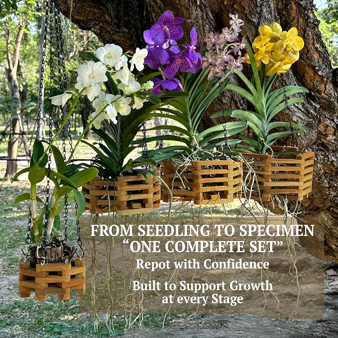 Teak Orchid Hanging Basket Set (4 Pack) – Solid Teak Wood Orchid Planters – Handmade Hanging Baskets for Vanda Orchids & Air Plants (Octagon)