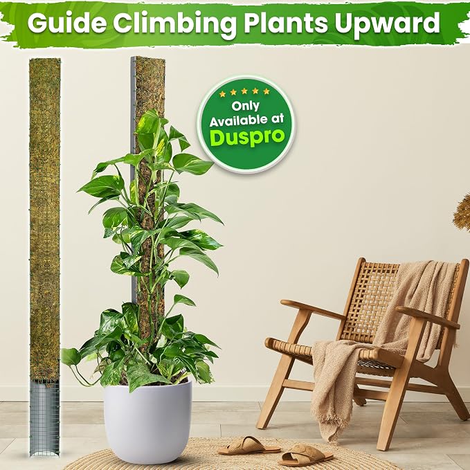 DUSPRO 59’’ D-Shape Moss Pole for Climbing Plants Monstera Moss Plant Pole Handmade Moss Stick for Indoor Plants Grow Upward (59'', 1pc.)