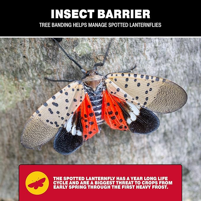 Catchmaster Tree Banding Insect Barrier 6Pk, 15oz Pails, Lanternfly & Ant Traps, Outdoor Adhesive Crawling Insect Trap to Protect Trees, Fruit & Plants