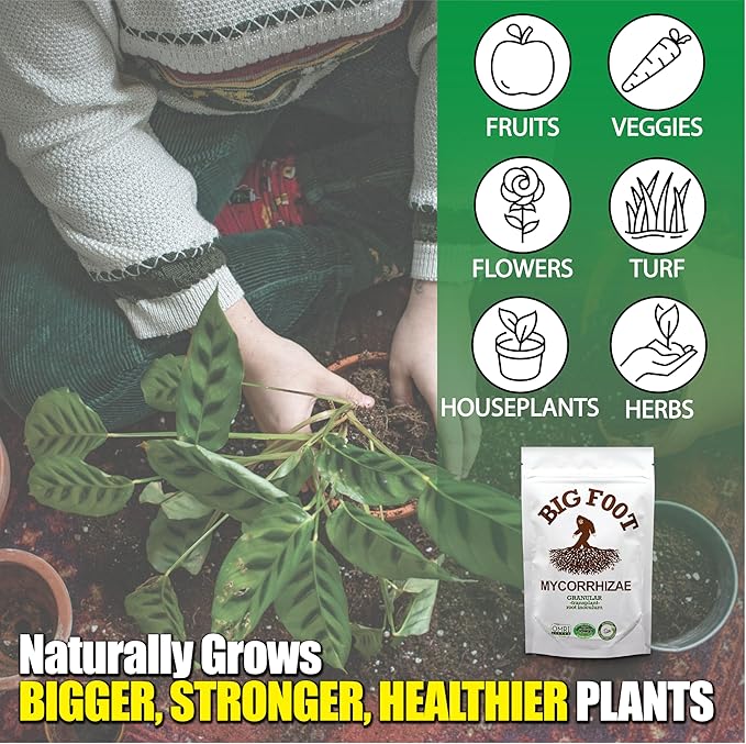 Big Foot Mycorrhizal Fungi Granular for Transplants - for All Plants - Easy to Use Root Stimulator - Treats 240 Plants (60K mycorrhizal Spores) - Double Your Plant Size - 2 Pounds