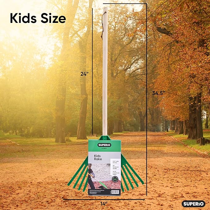 Superio Kids & Adult Rakes with Hardwood Handle, Durable Plastic Head to Sweep Leaves in Lawn and Tidying Up The Garden, Kid Size 34" Adult Size 61"