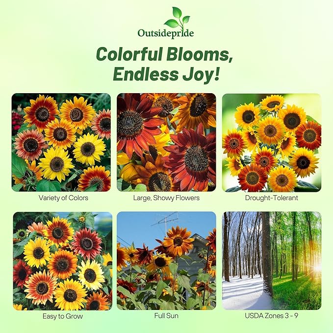 Outsidepride Autumn Beauty Sunflower Seeds for Planting - 1/4 Lb. Annual, Easy to Grow Flower Seeds w/Vibrant, Abundant Blooms for Cut Flower Arrangements & Pollinator & Vegetable Gardens