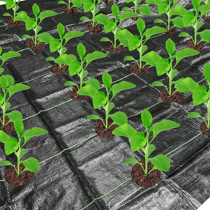 codree 26 x 6.5 Ft Garden Weed Barrier Landscape Fabric with Planting Holes- Heavy-Duty Garden Weed Control Barrier- Weed Block Gardening Mat with 10 Ground Nail for Outdoor Garden