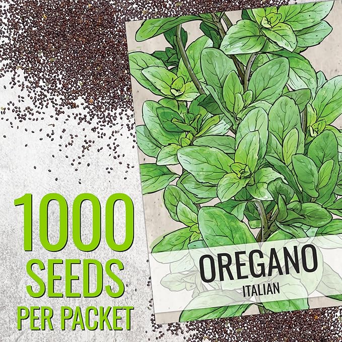 Seed Needs Sweet Marjoram & Italian Oregano Seeds for Planting Fresh Kitchen Herbs - Non-GMO Heirloom & Untreated Perennial Herb Seed to Plant a Culinary Garden Indoors or Outdoors (2 Pack Duo)