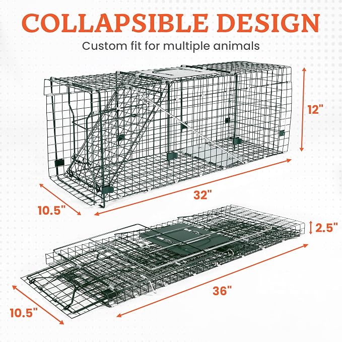 HOMESTEAD 32 Inch Heavy Duty Collapsible Live Animal Trap - Humane Catch and Release Trap for Squirrels, Stray Cats, Raccoons, Rabbits, Foldable Steel Trap, Space-Saving (32 Inch)