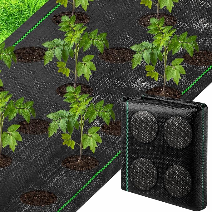 codree 13 x 6.5 Ft Garden Weed Barrier Landscape Fabric with Planting Holes- Heavy-Duty Garden Weed Control Barrier- Weed Block Gardening Mat with 6 Ground Nail for Outdoor Garden