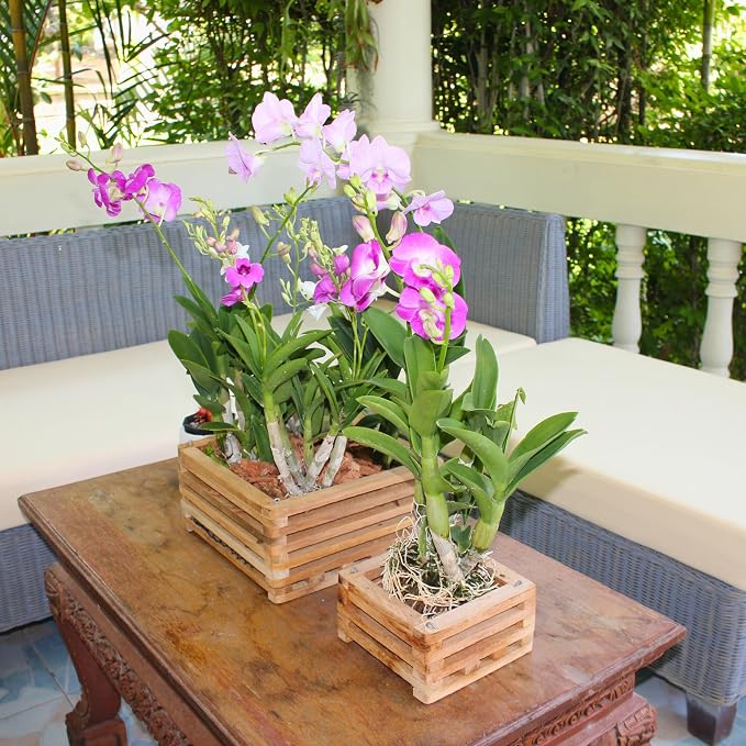 Set of 2 Wooden Orchid Baskets with Hangers, Hanging Vanda Baskets for Outside