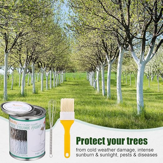 Kathfly 1 Pack Tree Paint Kit Tree Whitewash Trees Trunk Protection with Tinplate Container Whisk Brush for Fruit Nut Ornamental Trees Sapling Garden Yard Orchard (7" Whisk,Large Yellow Brush)
