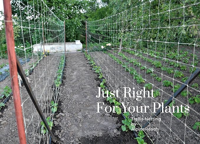 AlpineReach Trellis Netting 4ft x 328ft Heavy Duty Plastic White - 6 Inch Mesh Support Twine for Growing High Yield Tomatoes, Peas, Vine Climbing Plants Fruits Vegetables