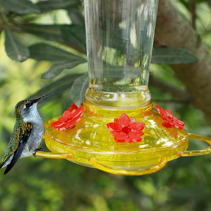 Shrdaepe Hummingbird Feeder, Glass Bottle Bird Feeders, 5 Feeding Ports (Red & Yellow)