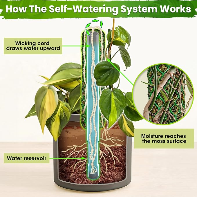 DUSPRO Self-Watering Natural Green Forest Moss Pole, Easy to Use Moss Sticks for Indoor Plants, Climbing Plant Support Stake with Self-Watering Feature, Moss Pole Monstera Plant Support 2pcs 23''