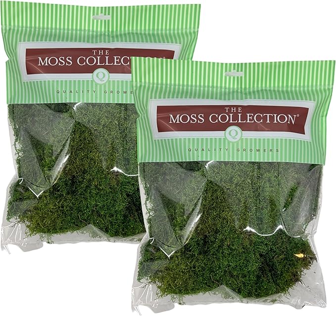 Preserved Sheet Moss - Premium Decorative Moss for Crafts, Home Décor, Art, Design & DIY Projects - Real Moss- Non-Toxic - USA-Made- (2-Pack Medium, Green)