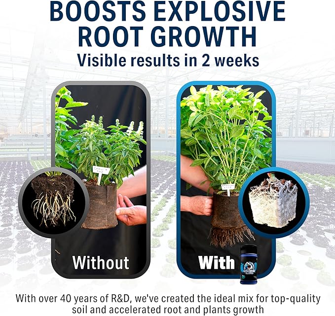 Great White Mycorrhizal Fungi, Beneficial Bacteria for Plant Growth, Root Stimulator, Concentrated 3-in-1 Formula by Plant Success (32 oz)