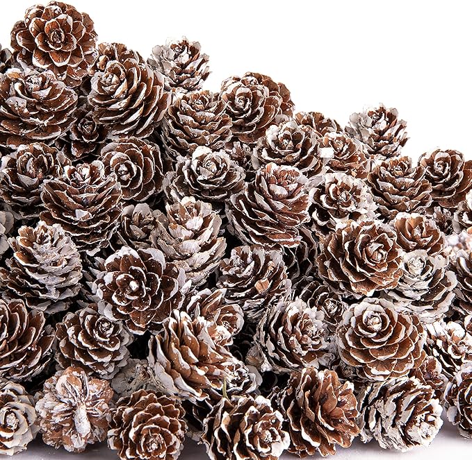 Deloky 700 Pcs Christmas Natural Mini Pine Cones- 1" Small Christmas Snow Pinecones Ornaments- Thanksgiving Mini Snow Pinecones for DIY Crafts Vase Fillers Fall Winter Home Christmas Tree Decor