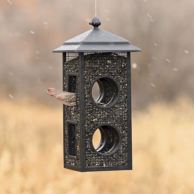 Perky-Pet Fly-Thru Wild Bird Feeder - 2 lb Capacity for Black-Oil Sunflower Seeds - Wild Bird Feeder for Outdoors - Outdoor Decor - B00303