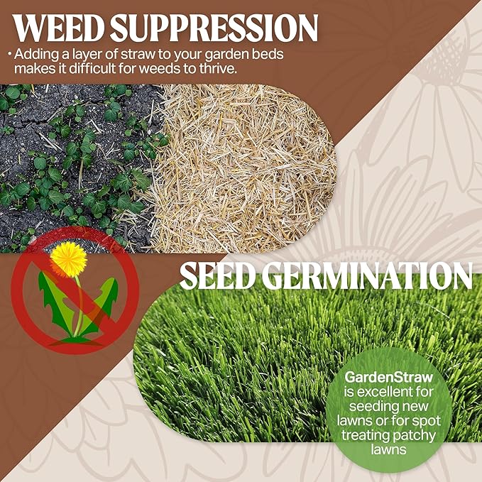 HealthiStraw GardenStraw, 3 cu ft (20 lbs) Pack of 4 – All-Natural Mulch for Gardens, Vegetables & Lawn Seeding – Water-Conserving Wheat Straw – Thoroughly Cleaned, Sustainable