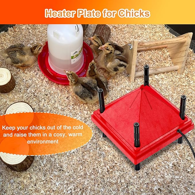 ZenxyHoC Brooder Plate for Chicks with Anti-Roost Cone, Chick Brooder Heater Red 12" x 12" with Constant Temperature