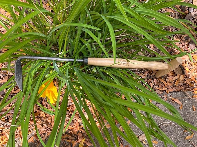 Tierra Garden Dewit Cape Cod Weeder with P-Grip Handle, Right Hand