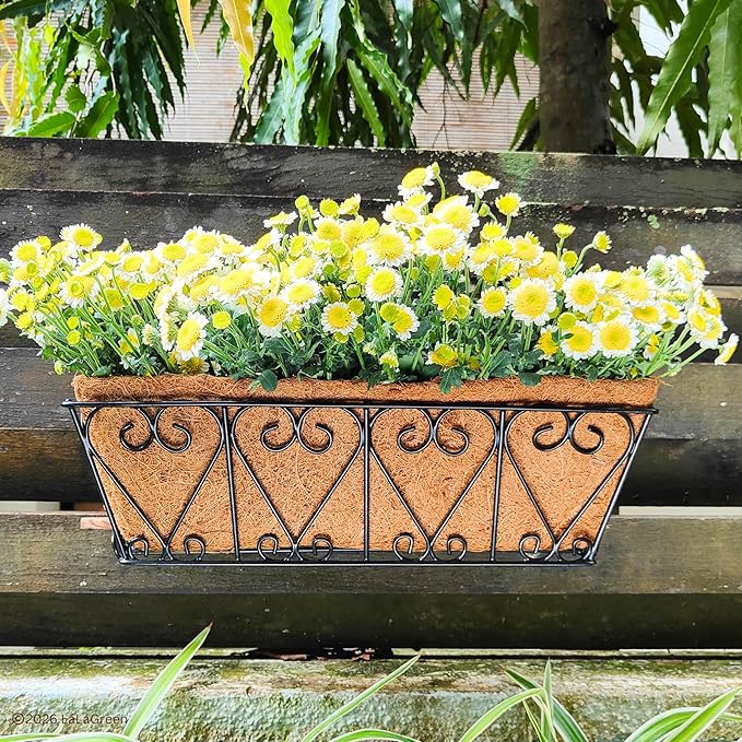 LaLaGreen 16" (8 Pack, Rectangular) Trough Coco Liners for Planter – Medium Coconut Coir Replacement for Window Box, Wall Mount Flower Pot, Outdoor Use– Also Available in 24/30’’ and Different Shapes
