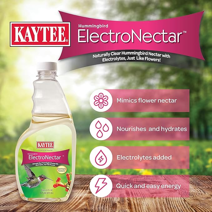 Kaytee Hummingbird ElectroNectar Wild Bird Food, 16 oz Concentrate 2 Pack, Makes 128 oz of ElectroNectar