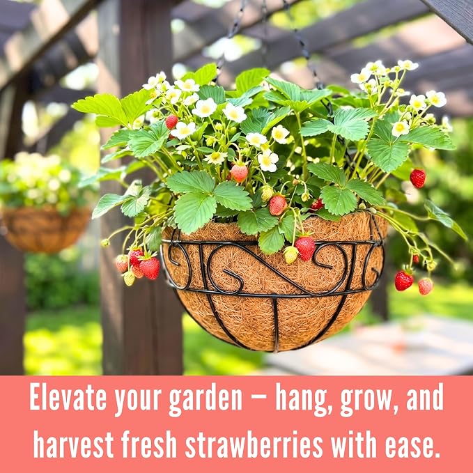 LaLaGreen Hanging Planter for Outdoor Plants (12 Inch, 6 Pack) Hanging Baskets with Coco Liner, Black Metal Wire Flower Basket Pots with Hook Hanger Balcony Porch Farmhouse Country Style Garden Decor