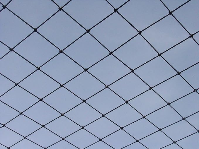 Excursions Aviary Netting 1" Heavy Knotted Poultry Net (25' x 25')