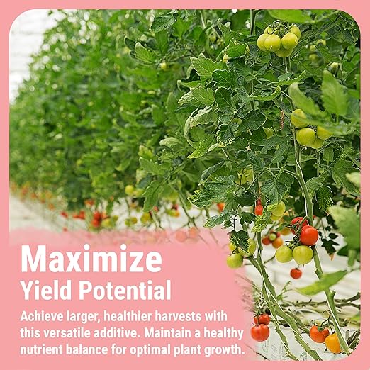 Cronk Nutrients Bud Booster - Best Budding Fertilizer for Maximum Blooms - Hydroponic Nutrients for the Bloom Phase - Balanced pH Formula - Suitable for Soil, Soilless, and Hydroponic Systems, 500mL