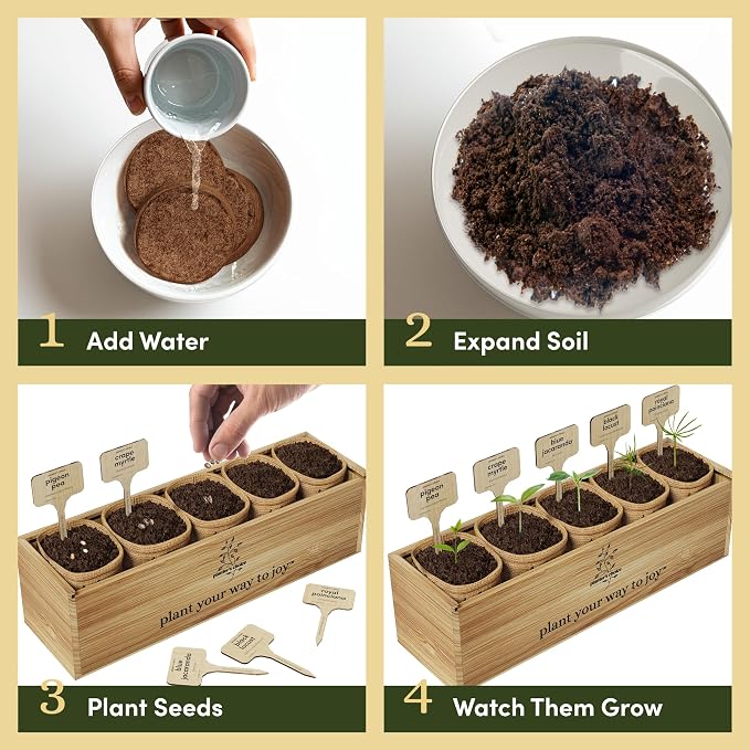 Planter's Choice Bonsai Tree Starter Kit - Birthday Gifts for Women, Men, Adults - Indoor Live House Plants - DIY Adults Craft Kits - Unique Hobby Gift Gardening Lovers - Gift Ideas Mom, Her, Friend
