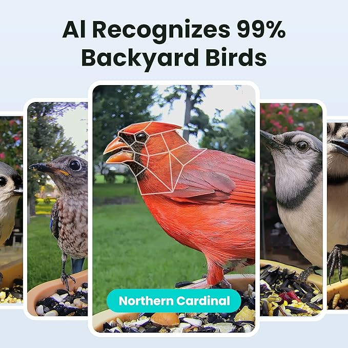 Birdfy Smart Bird Feeder with Camera for Rookie, Camera Bird Feeder Dual Night Vision, AI Recognition IP66 Waterproof for BirdLovers, 1.3L Capacity (AI by Subscription)