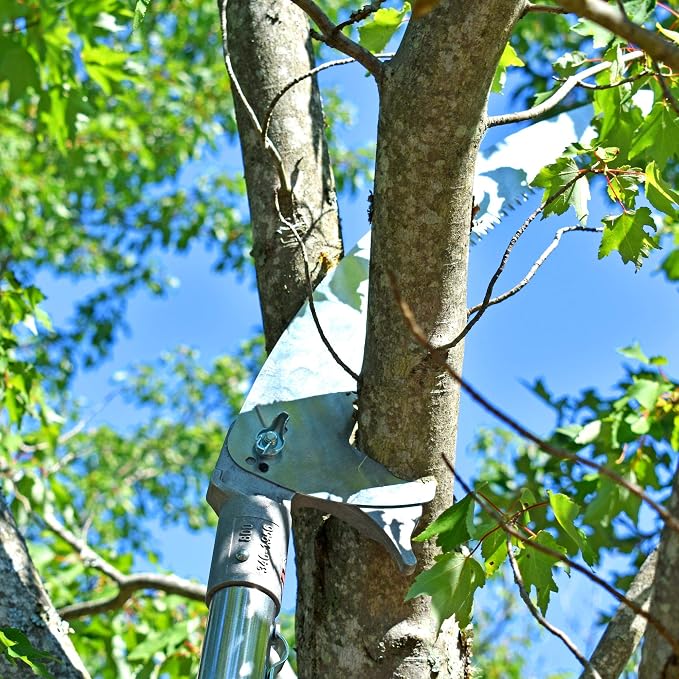 Jameson PS-3FPK-16DH Double-Hook Pole Saw Head Kit, 16 in – Tri-Cut Blade with Upper and Lower Hooks for Arborists, Rust-Resistant Lightweight Aluminum