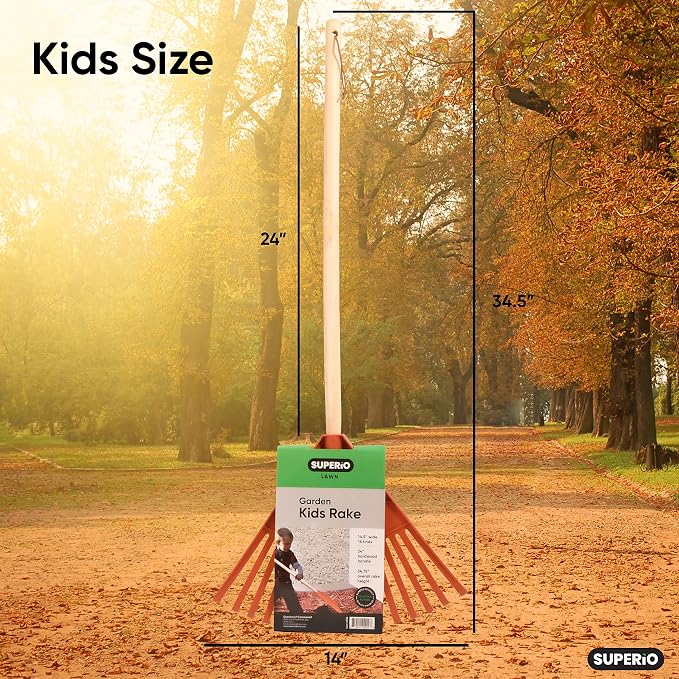 Superio Kids & Adult Rakes with Hardwood Handle, Durable Plastic Head to Sweep Leaves in Lawn and Tidying Up The Garden, Kids Size 34" Adult Size 61"