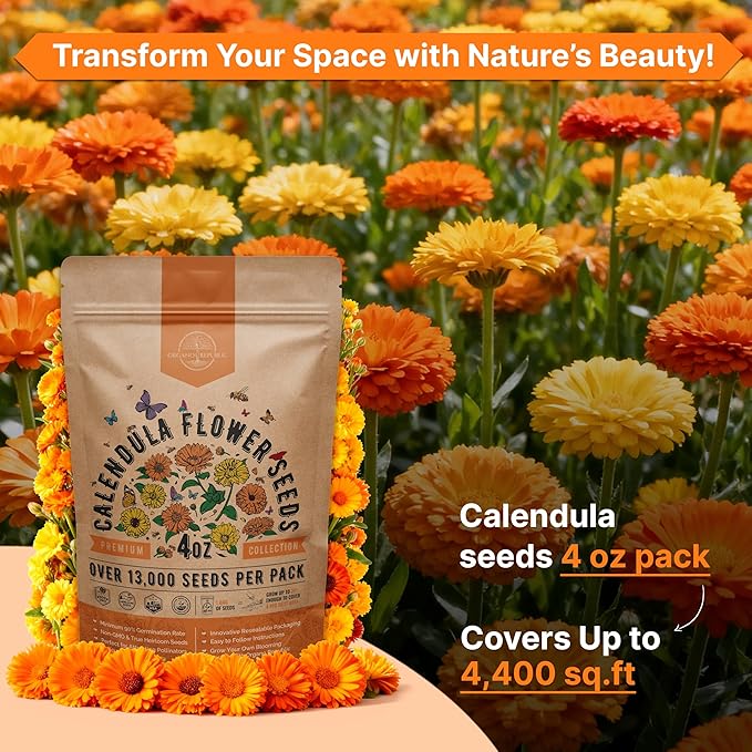 Calendula Seeds Pack 4 oz - Over 13,000 Non-GMO Heirloom Calendula Seeds for Planting Indoor & Outdoor Gardening, Flower Seed for Planting Home and Garden, Flowers Seed in Individual Packet