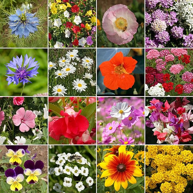 Ferry-Morse Flower Seeds - Cottage Garden Mix, Non-GMO, Outdoor, Full Sun - 1 lb