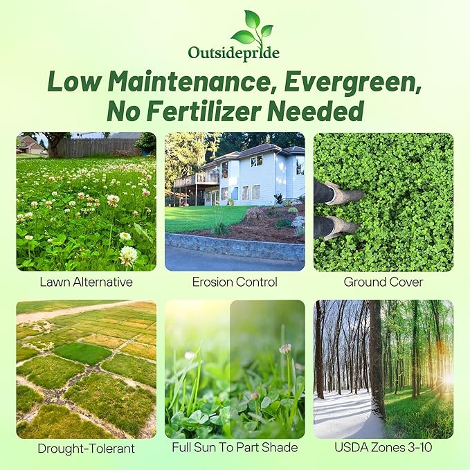 Outsidepride Perennial White Dutch Clover Seed - 40 lbs. Nitrocoated, Inoculated for Lawn Alternative, Erosion Control, Food Plots, Ground Cover, & Pasture Mixtures in USDA Zones 3-10