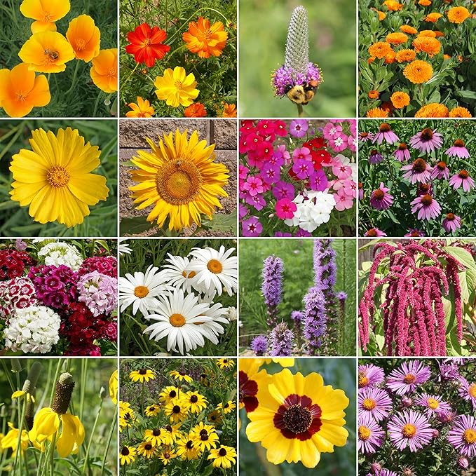 Ferry Morse Wildflower Seeds Mix - Non-GMO, Pollinator Friendly, Pollinator Garden - 1 lb - Other