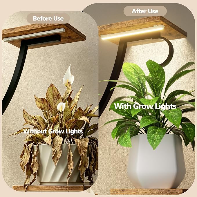 EVAWOO Plant Stand Indoor with Grow Lights - 58" Tall Plant Shelf Indoor, 8 Tiered Corner Lighted Plant Stand for Indoor Multiple Plants, Metal Flower Stands Display Rack for House, Patio, Black