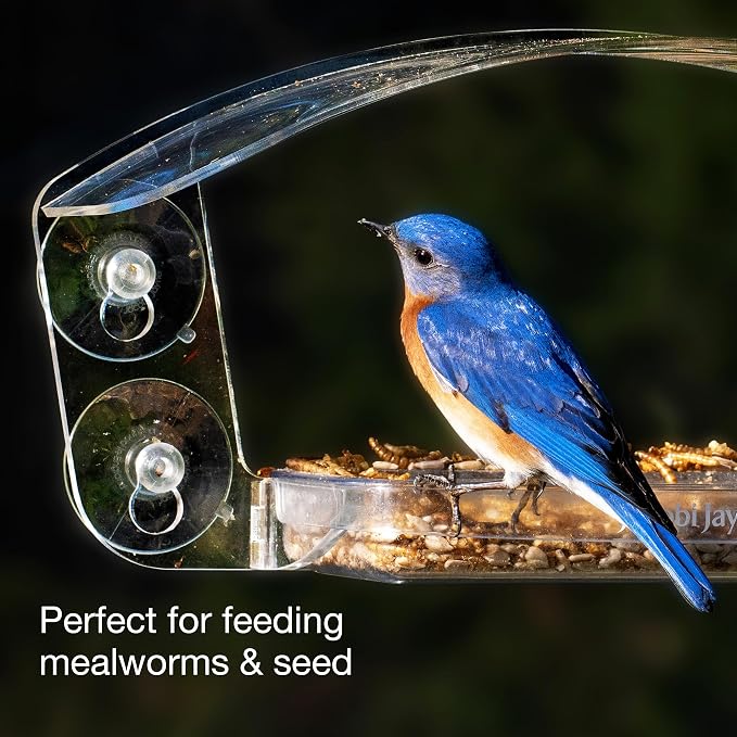 Transparent Acrylic Bird House with Sliding Tray - Jacobi Jayne® Sky Deck™ Window Feeder - Strong Suction Cups Secure This Clear Design for Close-up Bird Watching from Your Home.