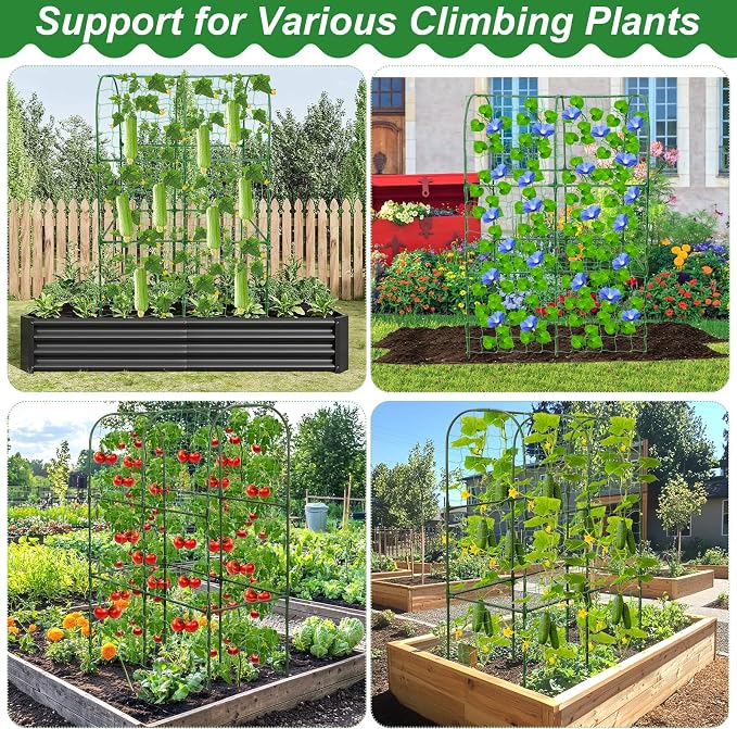 Cucumber Trellis for Raised Bed 50 x 34 Inch U-Shape Garden Trellis for Climbing Plants Outdoors Metal Garden Cucumbers Arch Trellis, Cucumber Plant Support for Tomato, Pea, Zucchini, Vine Flower