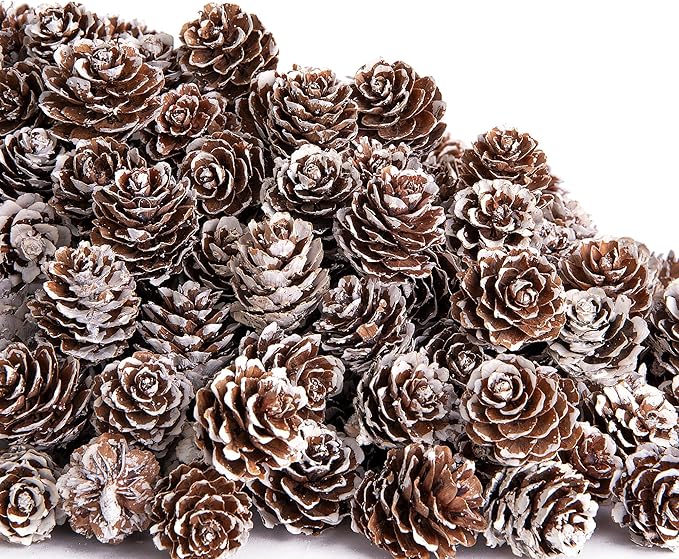 Deloky 400 Pcs Natural Mini Pine Cones - 1" Small Snow Pinecones Ornaments for Christmas Tree, Thanksgiving, DIY Crafts, Vase Fillers, Fall Winter Home Decor