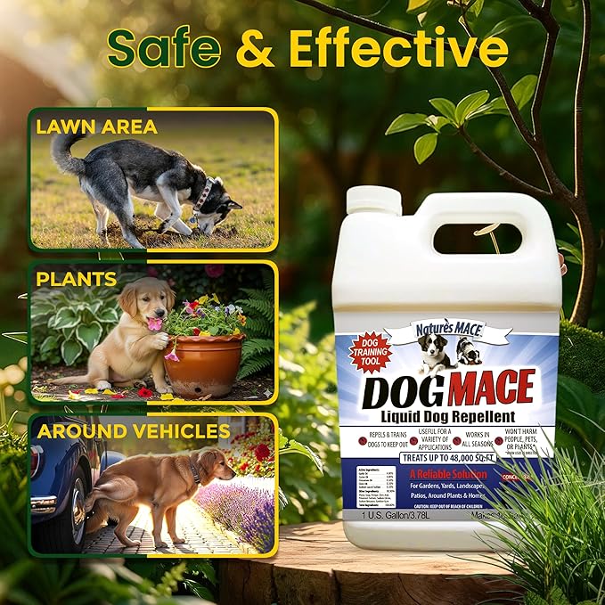 Nature’s MACE Dog Mace, Dog Repellent for Yard, Potty Training Tool Spray, Indoor & Outdoor, Pee Deterrent, Safe Around Kids, Pets, Garden & Plants, 1 Gallon Concentrate, Treats 48,000 Sq. Ft.