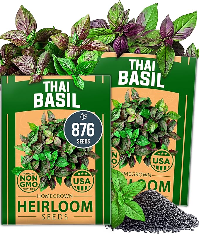 HOME GROWN Thai Basil Seeds Pack - 876 High Germination Heirloom Herb Seeds for Planting,Ideal for Growing Fresh Basil Planting Indoor or Outdoor(Ocimum basilicum VAR.thyrsiflora)