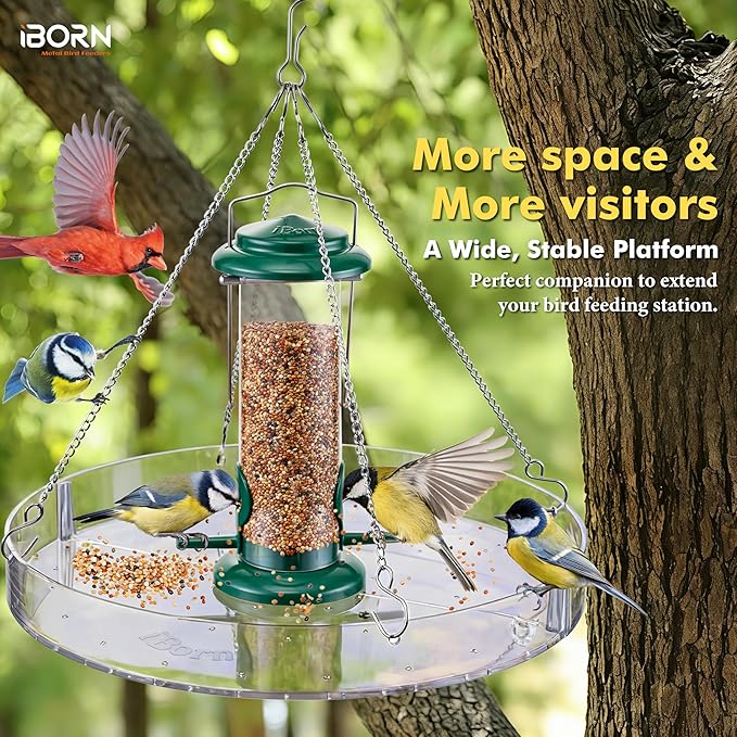 iBorn Bird Seed Catcher Tray, 5.9” Large Bird Feeder Tray Polycarbonate(PC), Squirrel Chew Proof Seed Catcher for Bird Feeder for Outdoors Hanging, Clear