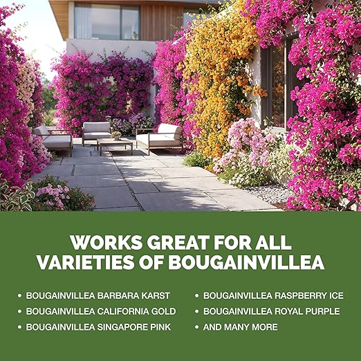 Bougainvillea Fertilizer – Liquid Plant Food for More Blooms, Brighter Color & Fuller Growth, 8 oz