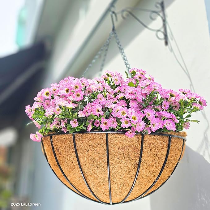 LaLaGreen 20" (4 Pack, Round) Coco Liners for Hanging Basket – Large Coir Fiber Replacement Liner for Pot, Outdoor Wall Mounted Planter – Also Available in 8/10/12/14/16/18 Inch & Different Shapes