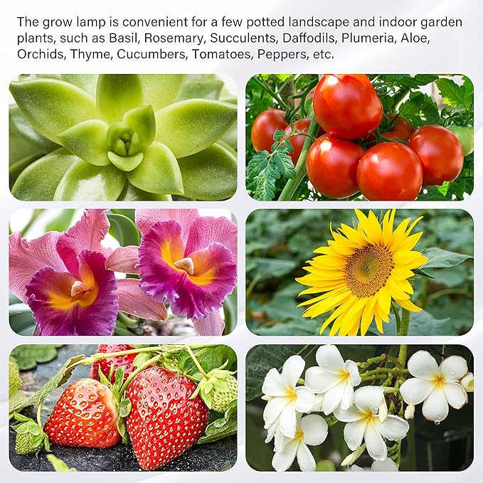 iPower 20W LED Grow Light Strips for Indoor Plants with Auto ON/Off 3/9/12H Timer 10 Dimmable Levels 48 LEDs Per Tube Sunlike Grow Lamp for Hydroponics Succulent, Red&Blue