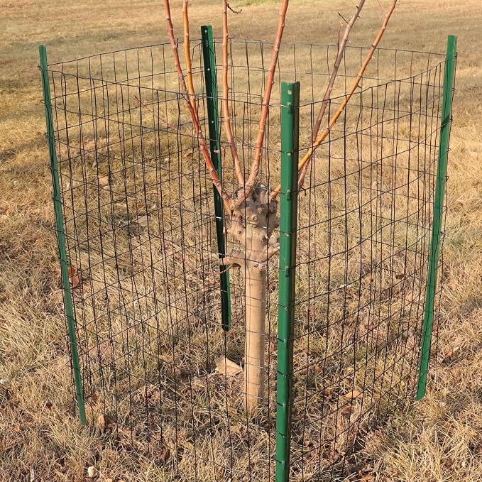 FOREHOGAR Black PVC Coated Welded Wire Fence 36 Inch x 100 Foot, 2 Inch x 3 Inch 16GA, Garden Border Fencing Roll Vinyl Coating Metal Wire Mesh for Yard Vegetable Plant Protection Poultry Netting