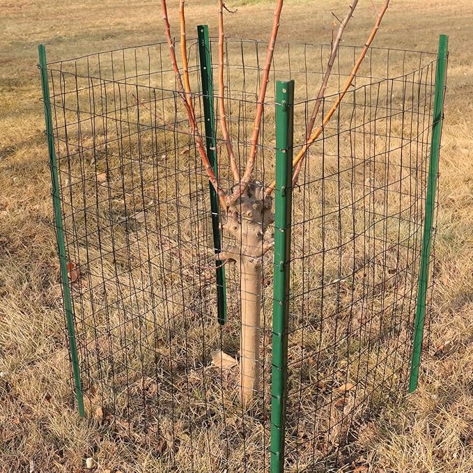 FOREHOGAR Black PVC Coated Welded Wire Fence 48 Inch x 100 Foot, 2 Inch x 3 Inch 16GA, Garden Border Fencing Roll Vinyl Coating Metal Wire Mesh for Yard Vegetable Plant Protection Poultry Netting