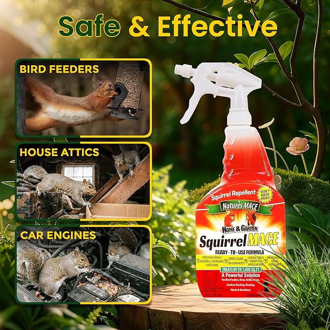 Nature's Mace Squirrel Mace, Squirrel Repellent Outdoor, 40 Ounce Spray, Squirrel and Chipmunk Repellent, Keep Squirrels Out of Your Garden, Attic, Bird Feeders, Fruit Trees, Plants, Potted Plants