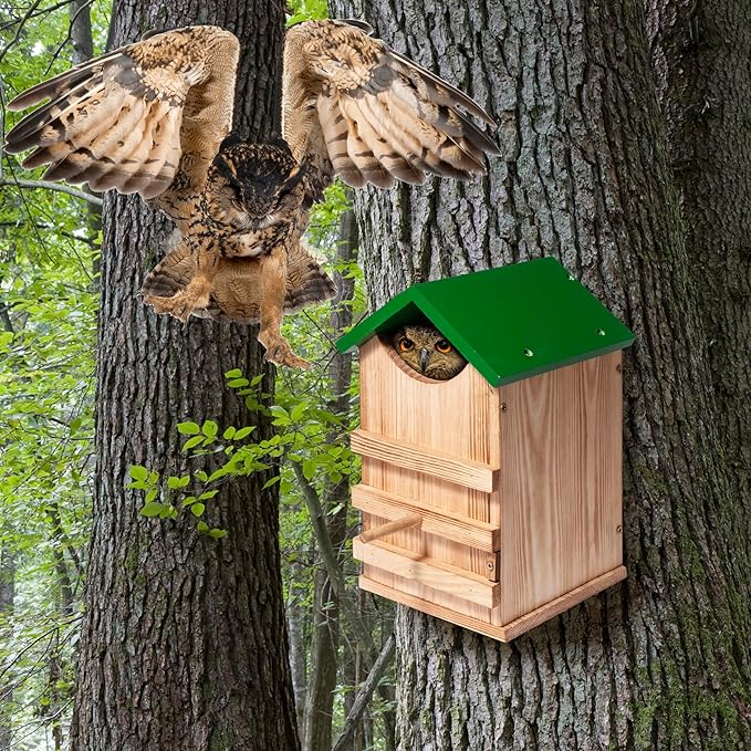 Screech Owl House Owl Box with Bird Stand Design, Nesting Box Wood with Mounting Screws, Cozy House for Lovely Birds, Easy Assembly Required
