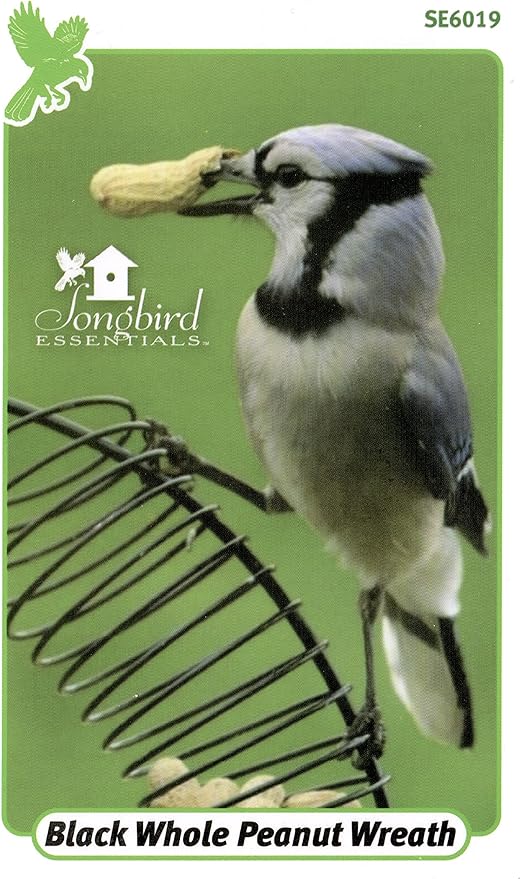 Songbird Essentials Whole Peanut Black Wreath Feeder for Squirrels and Blue Jays